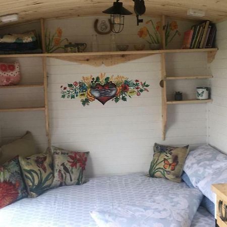 Clydesdale Shepherds Hut Hotel Belfast Exterior photo